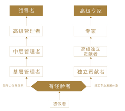 赏金船长(中国游)官方网站