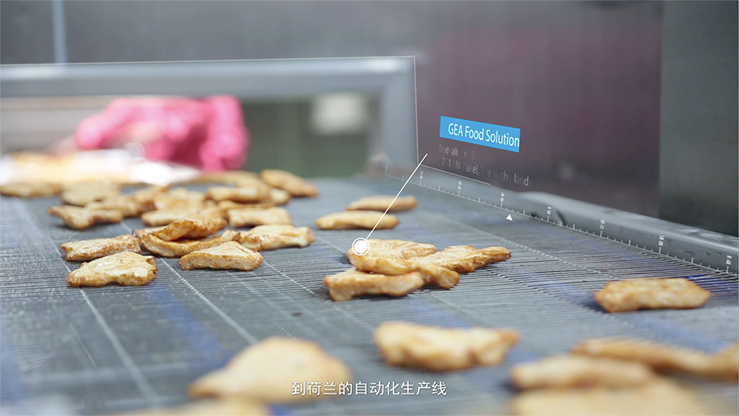 赏金船长(中国游)官方网站
