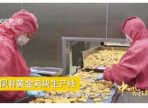 赏金船长(中国游)官方网站