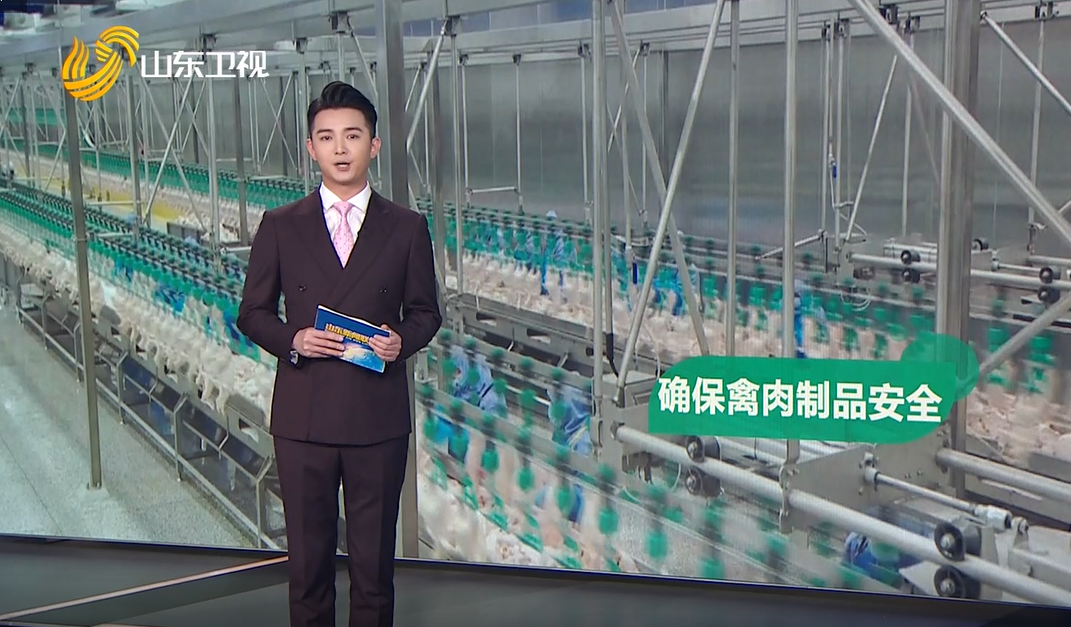 赏金船长(中国游)官方网站