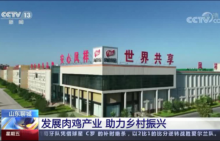 赏金船长(中国游)官方网站