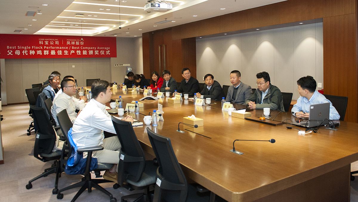 赏金船长(中国游)官方网站
